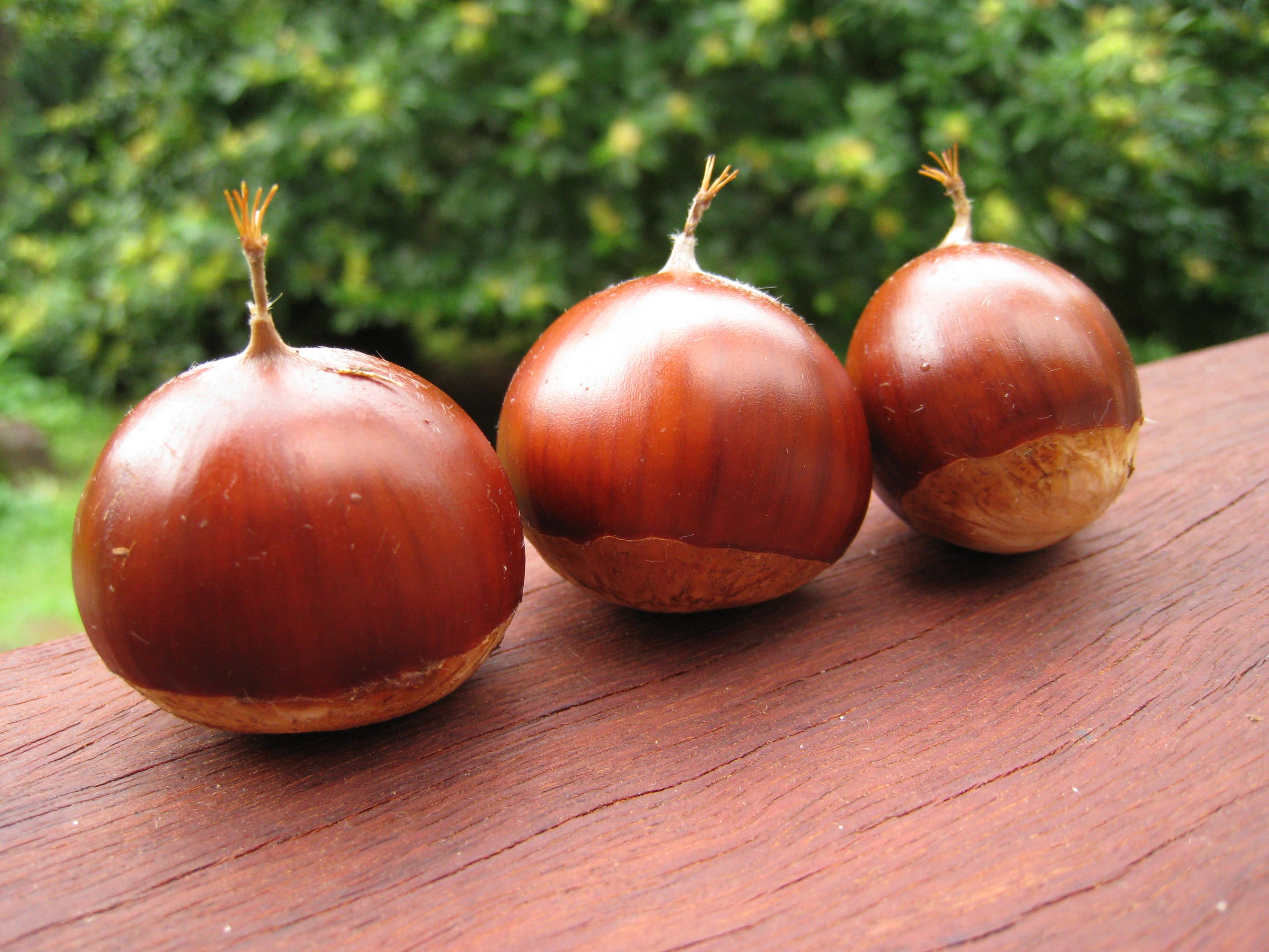 Roasted chestnuts - Amy Chaplin